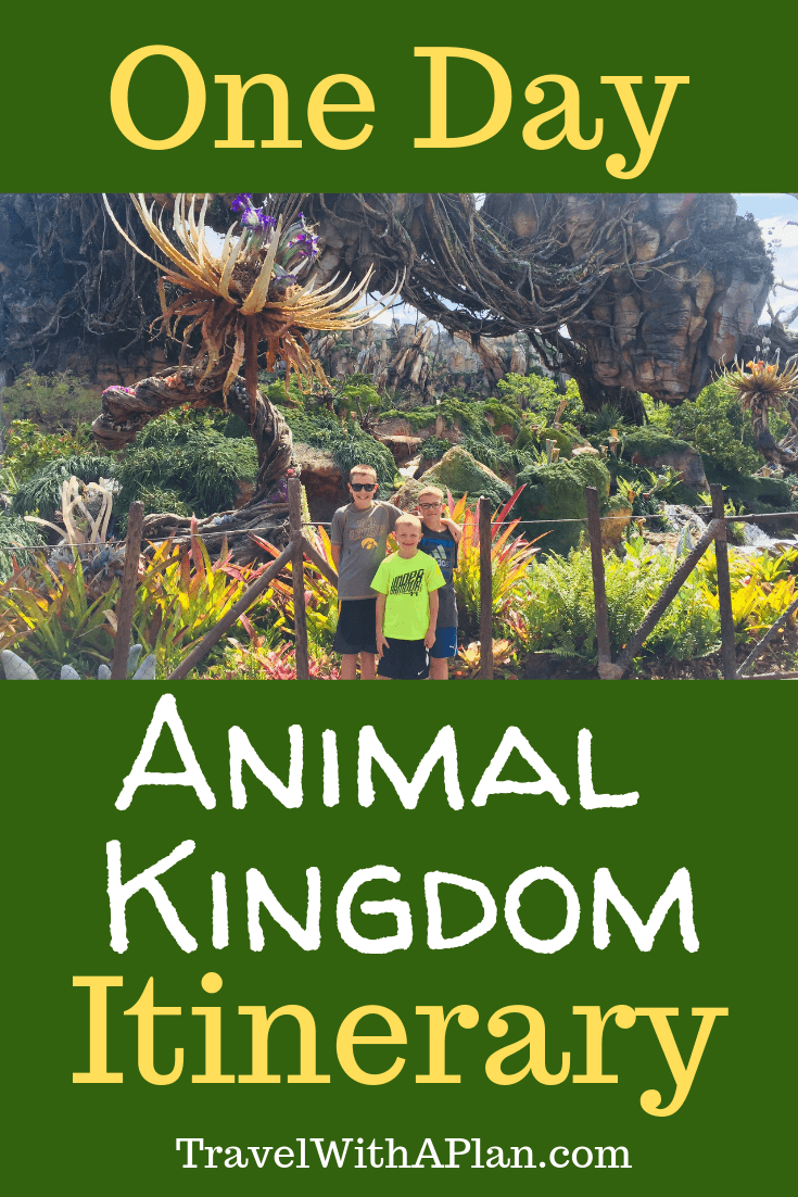 Click here to discover a 1-day itinerary for Animal Kingdom! Get a step-by-step touring plan from top rated U.S. family travel blog, Travel With A Plan! See all of the sights and beset attractions during one day at Animal Kingdom! #WDWwithkids #AnimalKingdomwithkids #Animalkingdom #AnimalKingdomitinerary #thingstodoatanimalkingdom #howtodoanimalkingdom #1dayitineraryanimalkingdom #onedayAnimalKingdomitinerary #Animalkingdomrides#AnimalKingdomhours #AnimalKingdomfastpass#animalkingdomtouringplan #animalkingdom1dayitinerary #1dayitineraryanimalkingdom #animalkingdominoneday