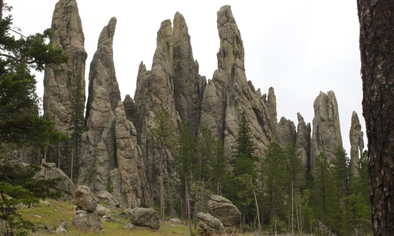 The Best Things to Do in the Black Hills with your Family featured by top US family travel blog, Travel with a Plan: image of needles highway