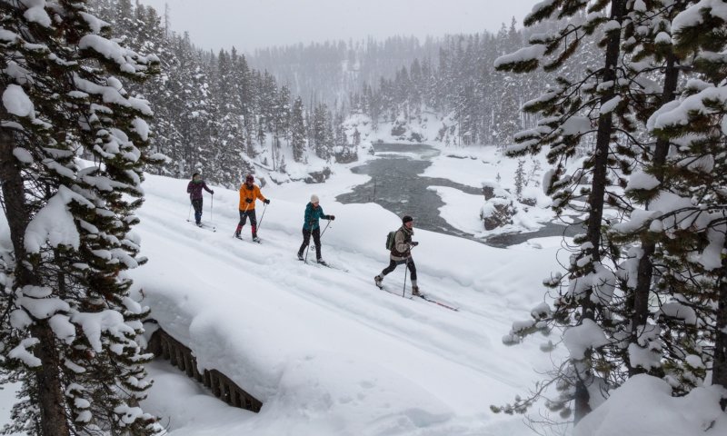 cross country skiing front image