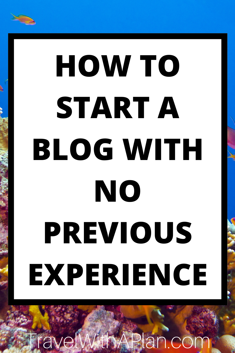 Learn the best new blogger tips from an actual blogger!  I'll give you great tips on how to blog step-by-step as well as move into how to blog and make money.  My simple, free advice is just what you need to start a new blog and fuel your passion to be the best blogger than you can be!  #NewBloggertips #NewBloggerchecklist #Bloggingforbeginners #Howtoblogandmakemoney #Blogincomereport #howtostartablog