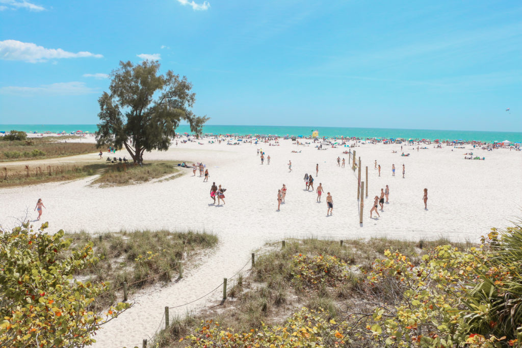 Things to do in Siesta Key cover