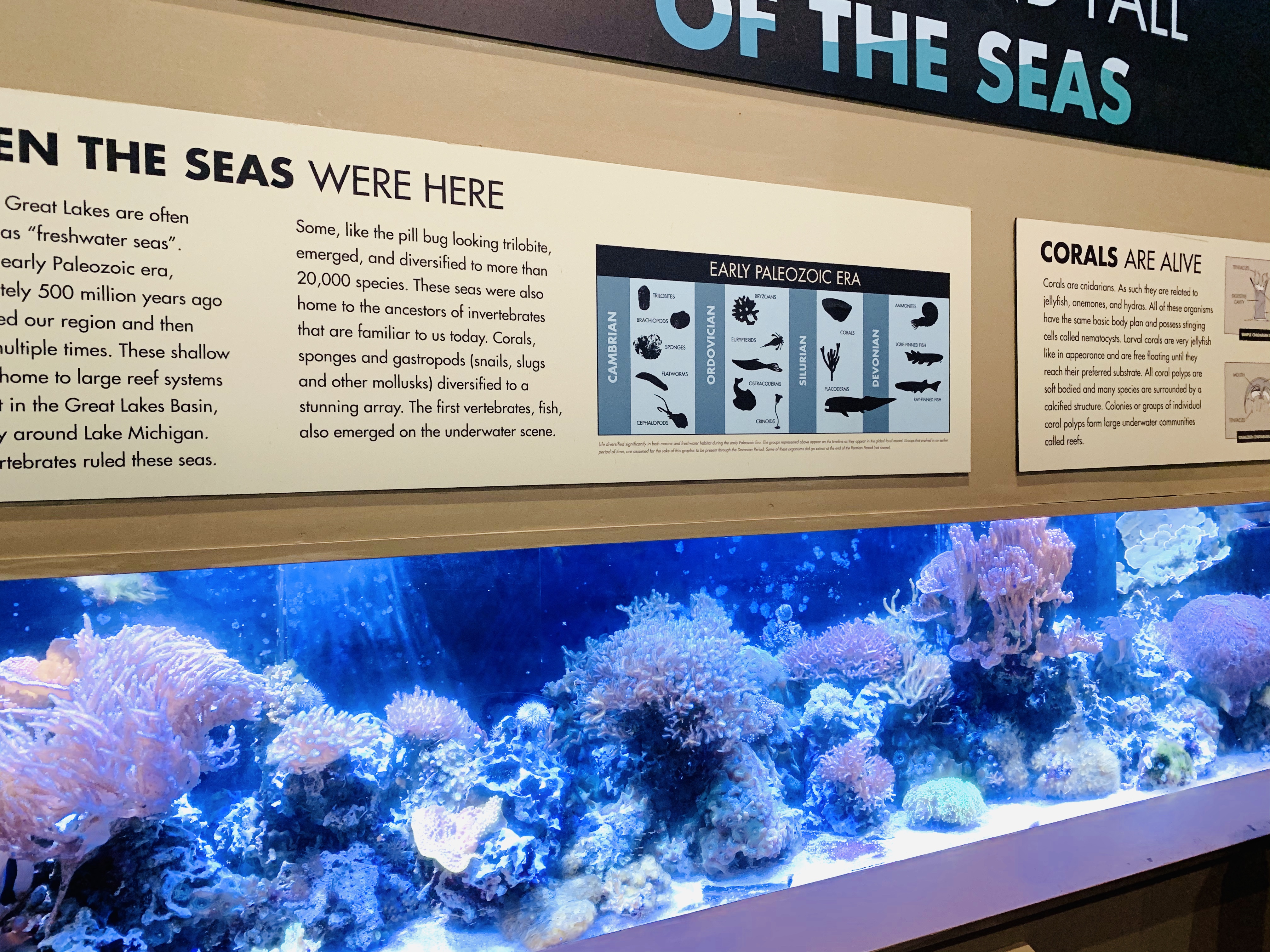 Read all about an experience at Duluth, MN's Great Lakes Aquarium from top U.S. family travel blog, Travel With A Plan!  They'll fill you in on what to expect while visiting and on whether or not a trip to the aquarium is worth the cost.  Click here now!  #duluthaquarium #duluthattractions #duluth #greatlakesaquarium #lakesuperior #duluthmnthingstodo