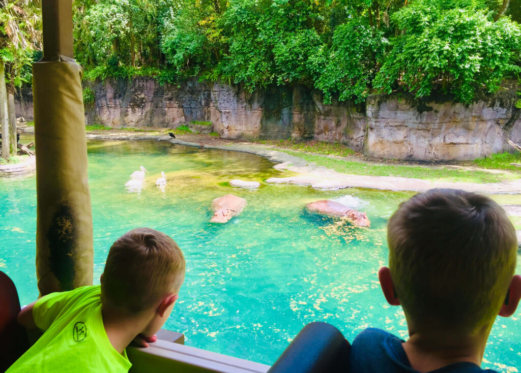 Read on for a perfect 1-day Animal Kingdom Itinerary from top US family travel blog, Travel With A Plan!