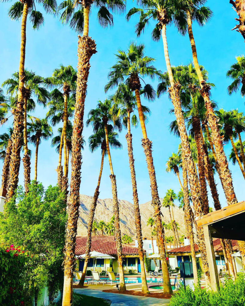 Read about our girls' weekend in Palm Springs from top US family travel blog, Travel With A Plan!