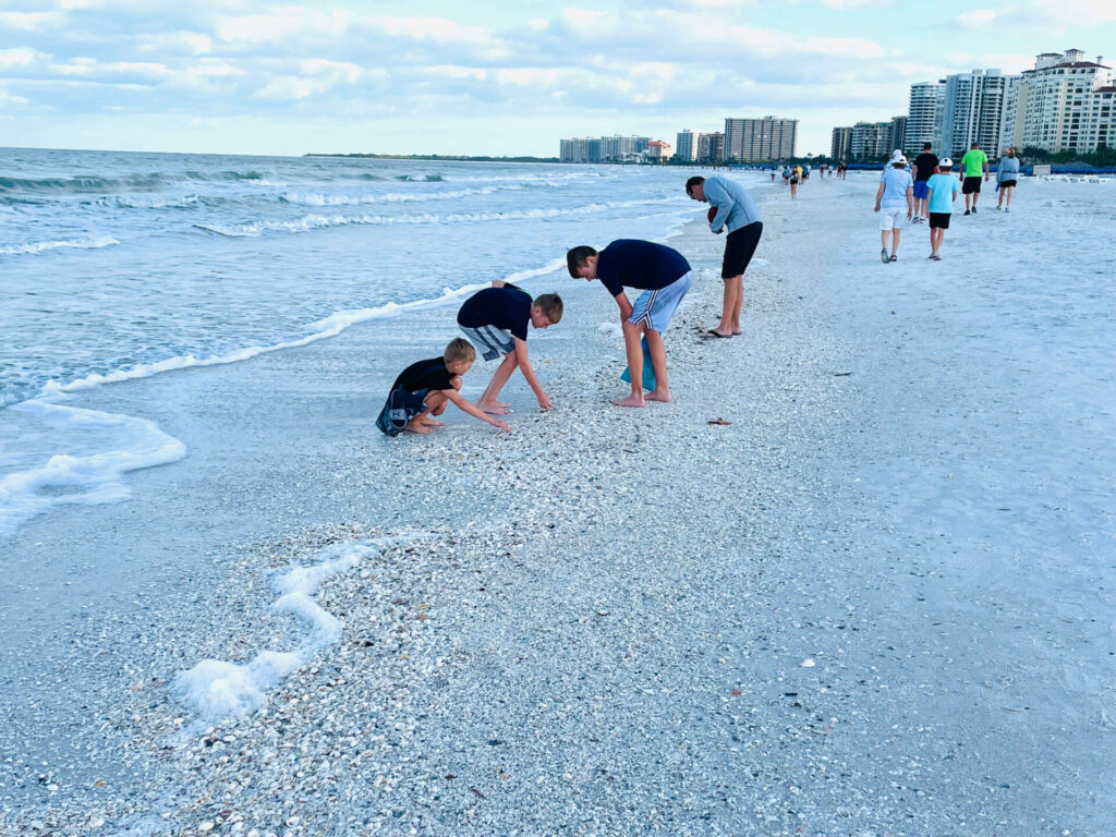 Shell picking in Naples, Florida