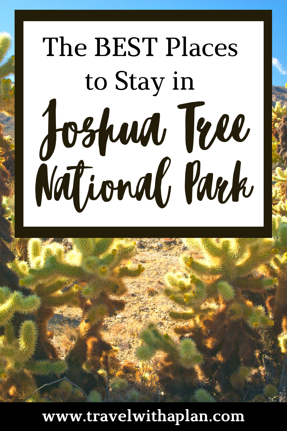 Discover the best places to stay in Joshua Tree National Park from top US family travel blog, Travel With A Plan!