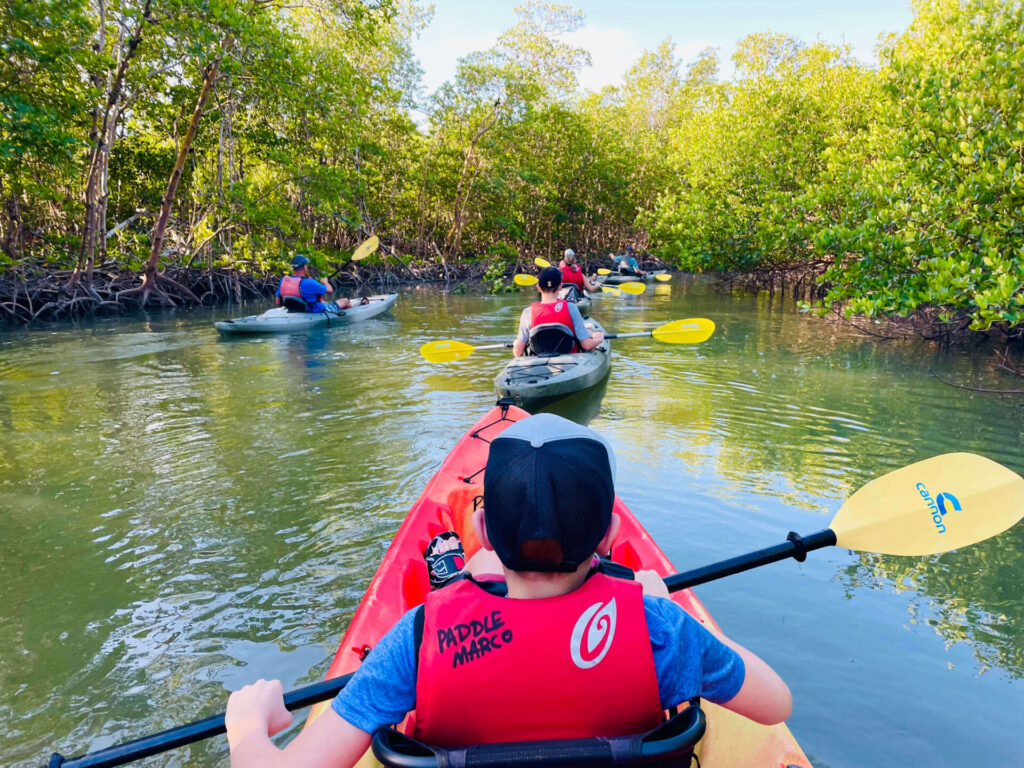 Kayaking in the mangrove tunnels