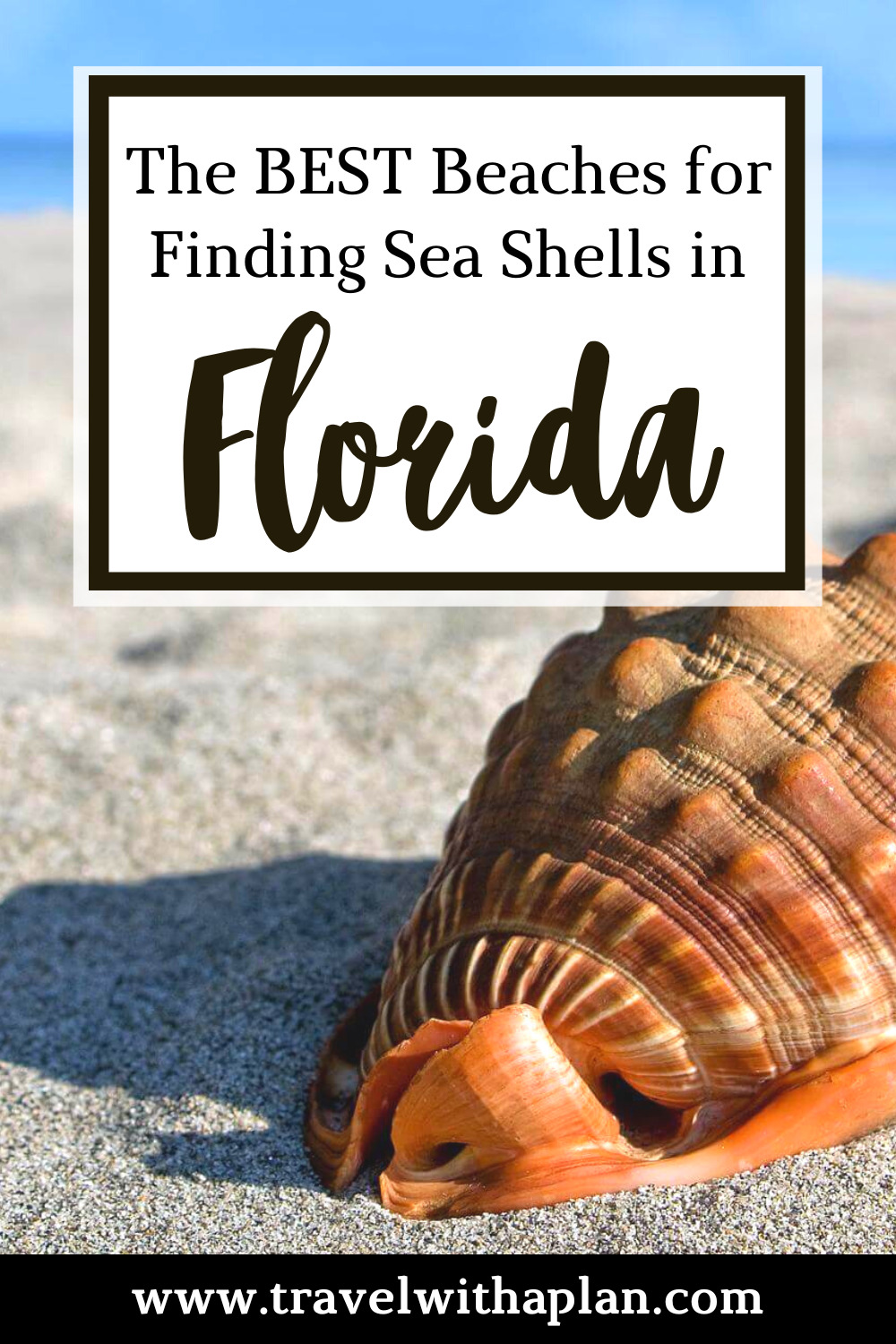 Discover the best shell picking beaches in Florida from top US family travel blog, Travel With A Plan!
