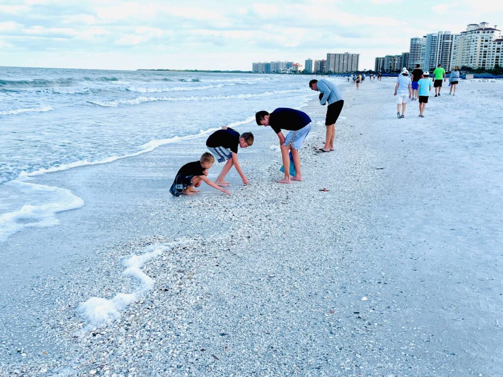 Unique things to do in Marco Island - go shelling!