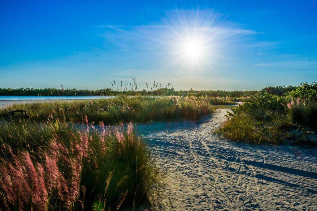 One of the best things to do in Marco Island is to visit Tigertail Beach Park!