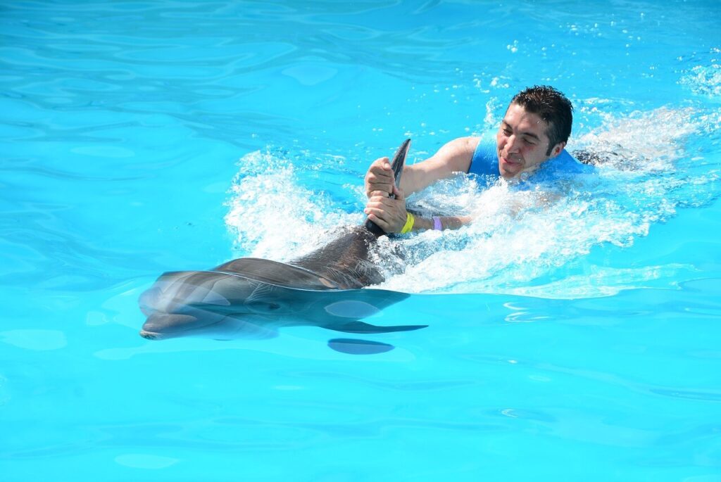 Places to swim with dolphins in Florida:  man doing a dorsal swim