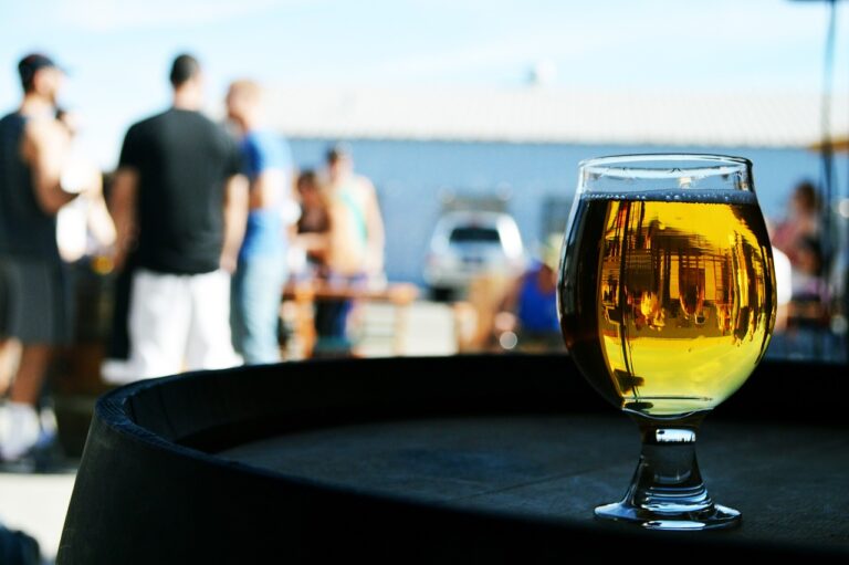 15 Best Duluth Breweries for Beer, Food, & Fun!