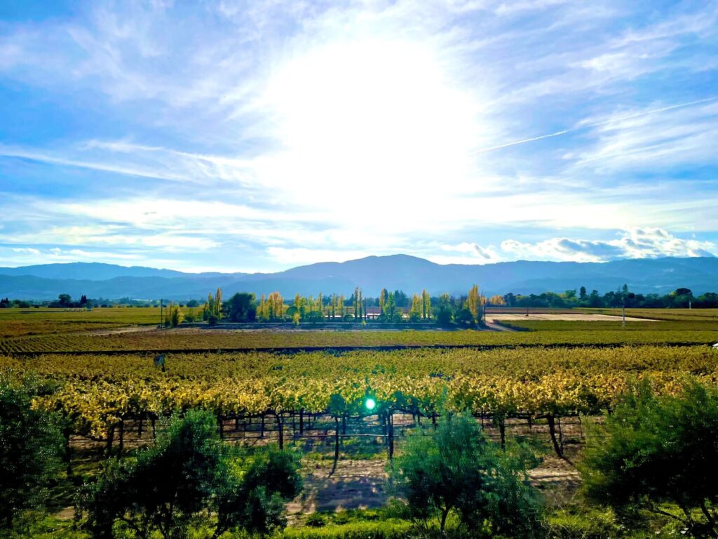 Discover the best things to do in Napa besides wine tasting from Jen at top U.S. travel blog, Travel With A Plan!