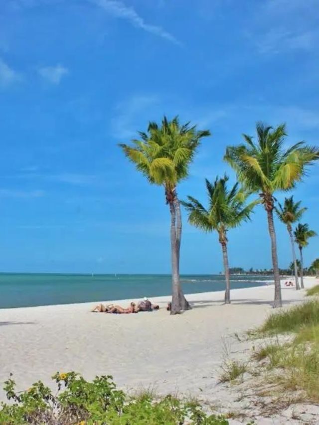 The Ultimate Naples, Florida Vacation Itinerary