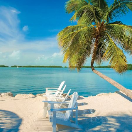 Scenic view of beach with chairs and palm tree.